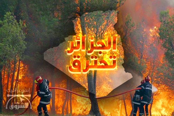 حرائق الغابات في الجزائر الشروق أونلاين